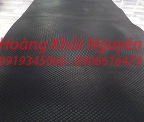 Cao su chống trượt bình dương